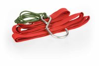 Wielka Piątka pomocy w odbudowie dzikiej przyrody