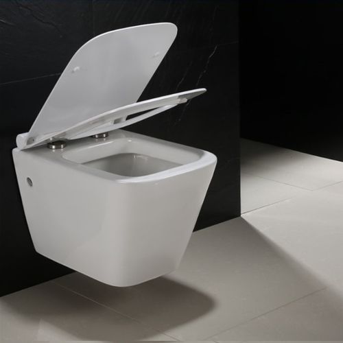 Misa WC Ryan Model Deski - ABS/Slim/ZM na Arena.pl