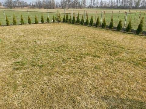 Nawóz do trawy do trawników na lato MAGGROW 20 kg zdjęcie 10