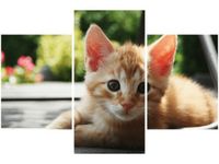 90X60CM OBRAZ RUDY KOT MATHIAS ERHART TRZY OBRAZY