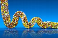 FOTOTAPETA PIŁKARSKA WĄŻ Z PIŁEK NA WYMIAR 380x256