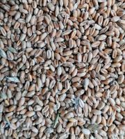 product-compare-57991431