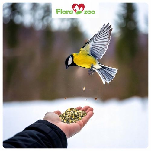 KARMA POKARM ZIARNO SŁONECZNIK DO KARMNIK DLA DZIKICH PTAKÓW ZIMUJĄCYCH na Arena.pl