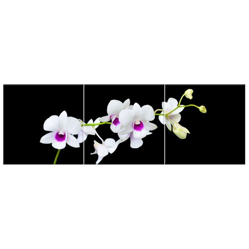 Obraz Płótno 150X50 Gałązka Storczyka na Arena.pl
