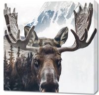 product-compare-59491867