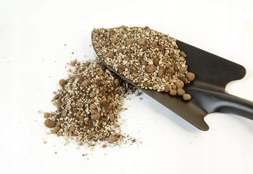 IMSOIL Ziemia Dedykowana do KAKTUSÓW i SUKULENTÓW 10L na Arena.pl