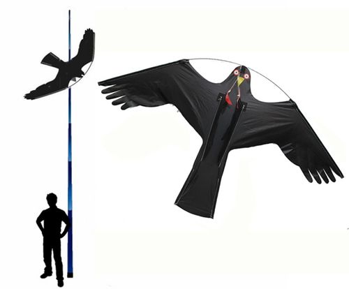 Odstraszacz Ptaków Duży Latawiec Jastrząb CH2 na Arena.pl