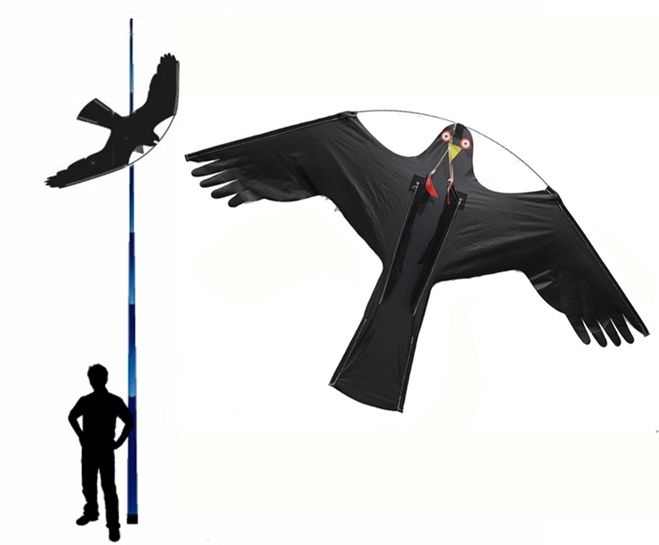 Odstraszacz Ptaków Duży Latawiec Jastrząb CH2 zdjęcie 7