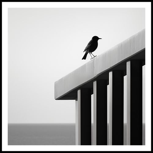 Plakat 70x70cm Samotna Odchłań na Arena.pl