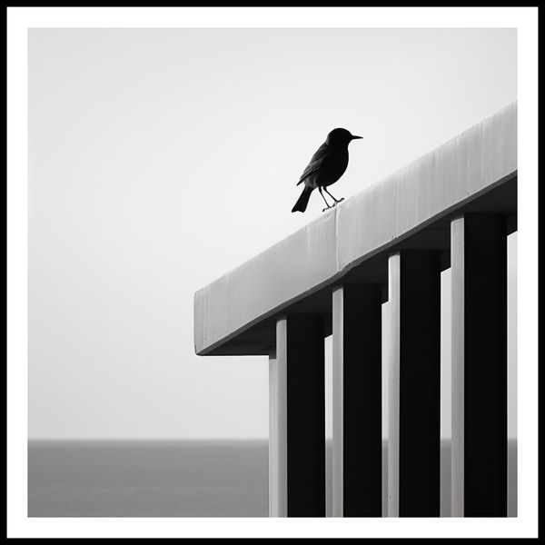 Plakat 70x70cm Samotna Odchłań zdjęcie 3