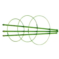 Podpora 60 cm do roślin kwiatów pierścieniowa okrągła trzy pierścienie