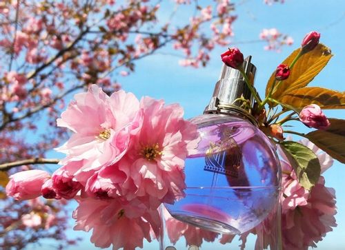 LANVIN ECLAT D'ARPEGE EDP 100ML FLAKON BEZ KORKA na Arena.pl