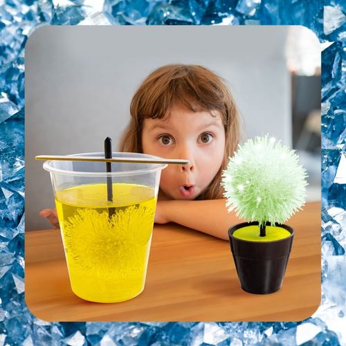 HODOWLA KRYSZTAŁÓW KRYSZTAŁY Eksperyment Edukacyjny 6 Drzewek Zestaw XXL na Arena.pl