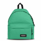 Plecak szkolny Eastpak Kolor Zielony 40 x 30 x 18 cm
