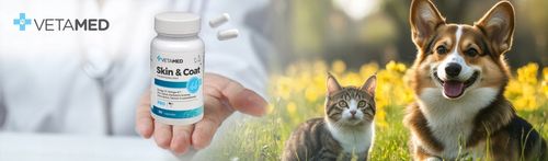 2 x SUPLEMENT na SKÓRĘ I SIERŚĆ dla PSA I KOTA VETAMED 60 kapsułek + GRATIS na Arena.pl