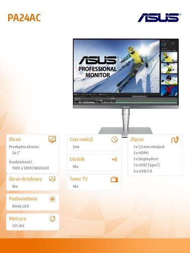 Monitor 24 PA24AC na Arena.pl