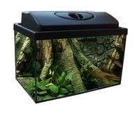 Gotowy Zestaw 30l prosty+ full wyposażenie Akwarium