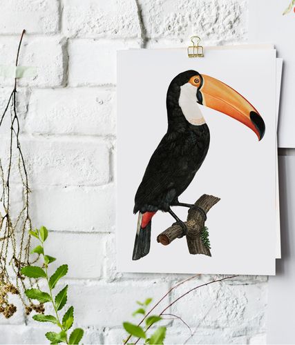 Plakat cyfrowy do wydruku tukan na Arena.pl