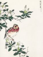 Plakat 60x80cm Rosefinch, Kashu Japoński Vintage do Salonu