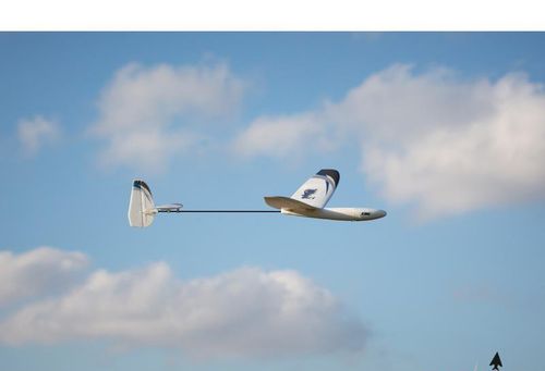 Whipit DLG Bind & Fly Basic na Arena.pl