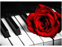 50X70CM RÓŻA FORTEPIANIE OBRAZ POKOJU DREWNINE