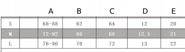KOMPLET Bielizny Damskiej STANIK Choker PASY NA UDA BRZUCH Biały L zdjęcie 12