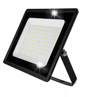 NEO HALOGEN REFLEKTOR DIODY LED SMD BIAŁY CIEPŁY 100W 8000LM 230V 99-054
