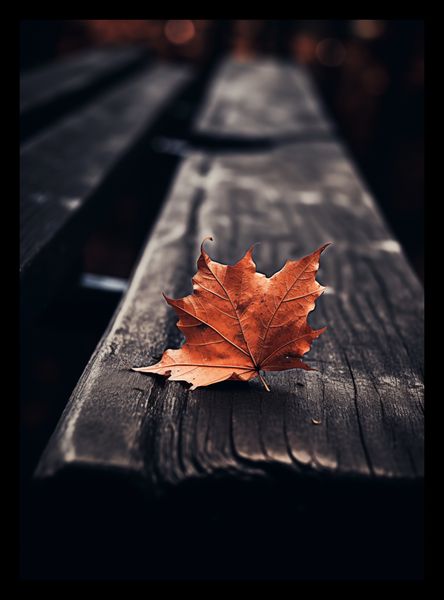 Plakat 20,5x28,4cm Pojedynczy Liść zdjęcie 2