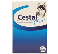 CESTAL Plus Tabletki na pasożyty robaki skuteczne odrobaczenie psa 2 szt.