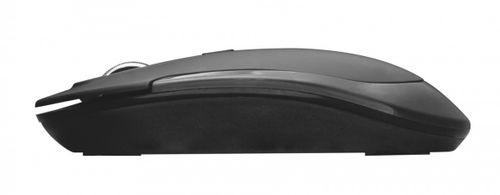 Trust Mute Silent Click Wireless mouse na Arena.pl