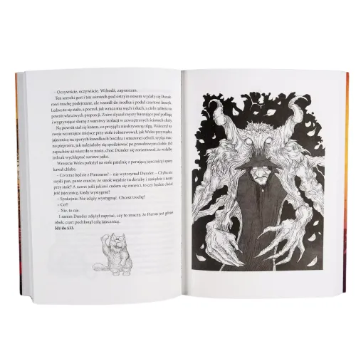 Dunder albo kot z zaświatu. Gra książkowa na Arena.pl