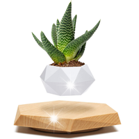 LEWITUJĄCA DONICZKA NA BONSAI MAGNETYCZNA DONICZKA OZDOBY DO POKOJU PREZENT
