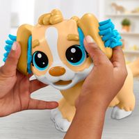 Play-Doh Weterynarz Ciastolina dla Dzieci Zestaw Prezent 3+