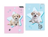 teczka z gumka pap a4 doggy stk fol10   8931 a'10