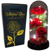 WIECZNA RÓŻA W SZKLE W KOPULE ŚWIECĄCA NA WALENTYNKI LED PREZENT PUDEŁKO