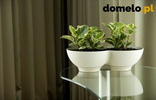 DONICZKA PLANET 440 A1 na Arena.pl