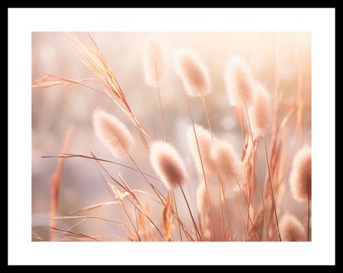 Plakat 40x30cm Kwiaty Słońca na Arena.pl