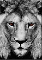 100 70CM OBRAZ PŁÓTNO LWIE SPOJRZENIE PŁÓTNO RAMA