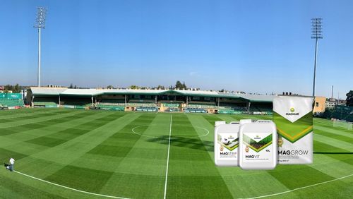 Nawóz do trawy do trawników na lato MAGGROW 20 kg na Arena.pl