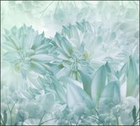 Tło do fotografii produktowej kulinarnej Flat Lay