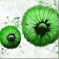 40CM 40CM OBRAZEK ZIELONE DMUCHAWCE DRUK PŁÓTNO OBRAZ