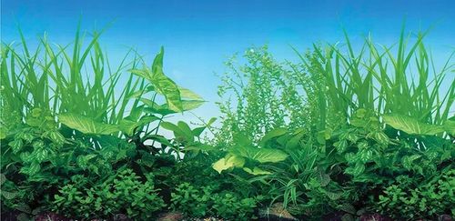 AKWARIUM 25L PROSTE 40x25x25cm +12 ów na Arena.pl