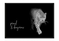 OBRAZ, PLAKAT W RAMIE 53x73 cm Zwierzeta P625
