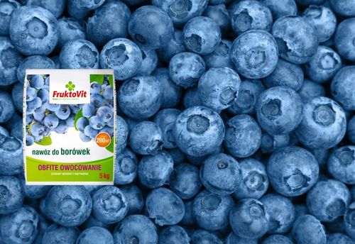 NAWÓZ DO BORÓWEK BORÓWKI AMERYKAŃSKIEJ KWAŚNOLUBNYCH ITP FRUKTOVIT 5 na Arena.pl