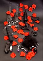 zestaw akcesoriów erotycznych lovetoy starter kit czarny