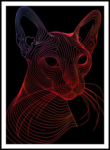 Plakat 67,5x95cm Cyfrowa Kocica na Arena.pl