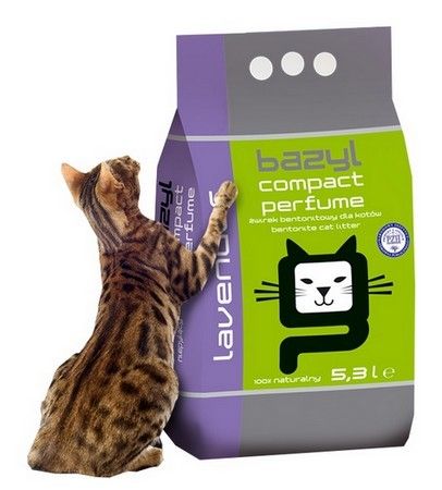 Bazyl Compact Lawenda 5,3L na Arena.pl