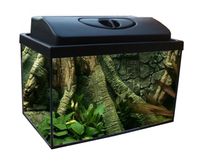 Zestaw 25l prosty LED 1W + full wyposażen + statek