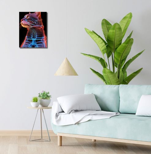 Obraz 30x40cm Anatomia Kota na Arena.pl
