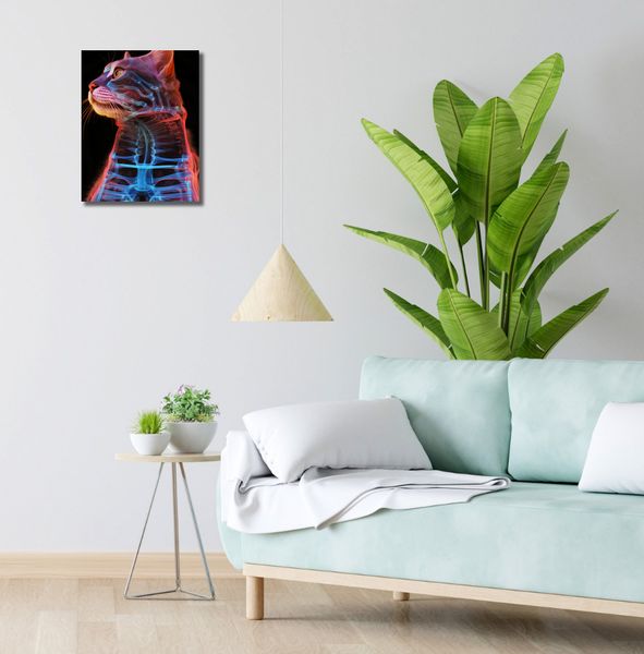 Obraz 30x40cm Anatomia Kota zdjęcie 2